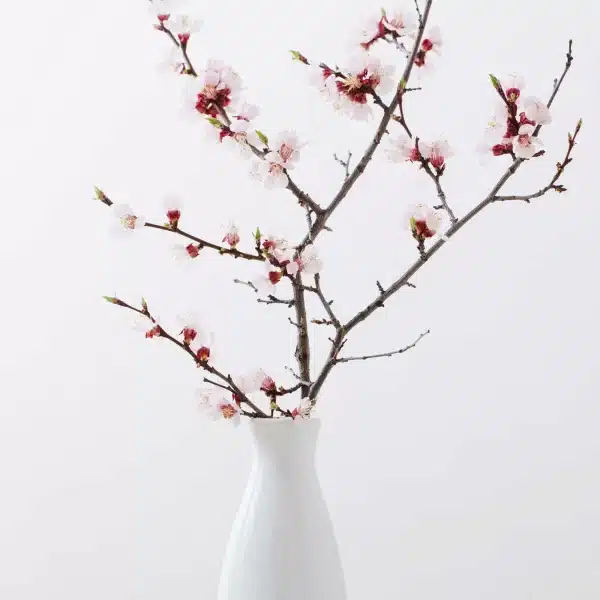 Japanese Flower Arrangement