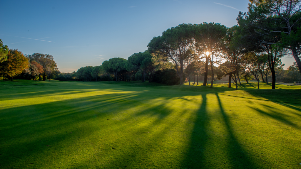 Golf course with long shadows at sunset through trees.