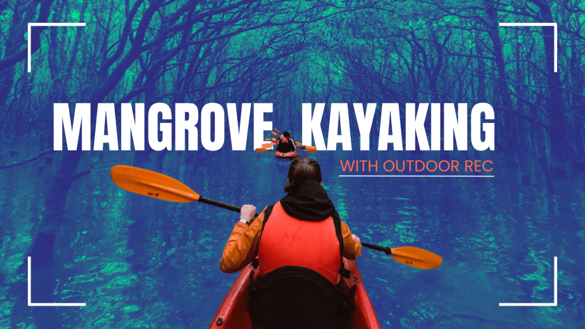 Image advertising Mangrove Kayaking with Outdoor Recreation.